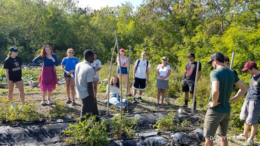 Andros immersive experience