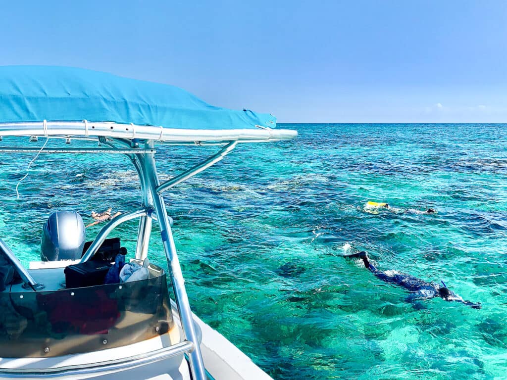 Andros boat snorkeling