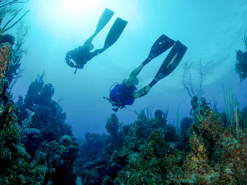 underwater-fishing
