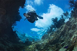 underwater-cinematography
