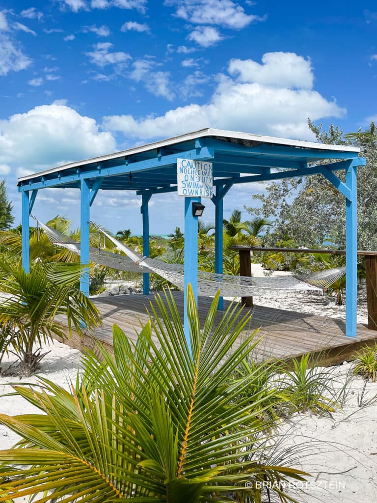 Andros hammocks