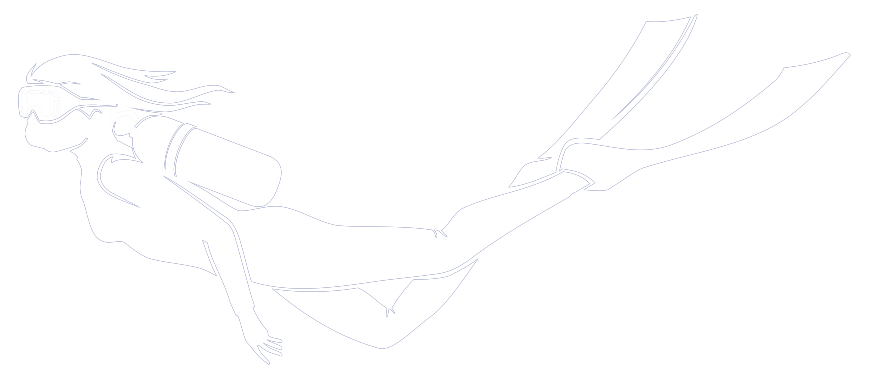 PPV scubadiving logo